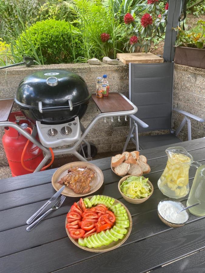 Ubytovani Pod Cimburkem Mestecko Trnavka 외부 사진